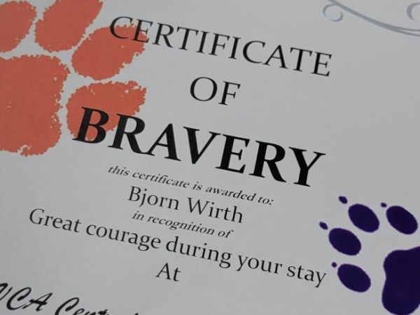 Adventures in metabolism: If your cat eats antifreeze, you can ask your vet to get him&nbsp;drunk