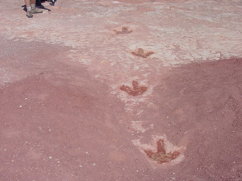 Things Not Seen: Reflections on Life and Science in the&nbsp;Pandemic