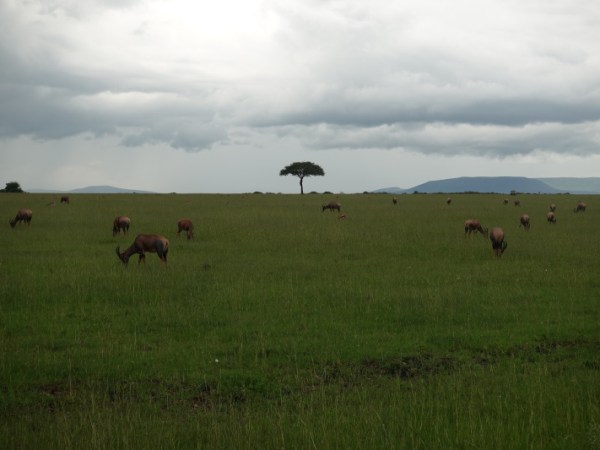 Youth and the Pleistocene&nbsp;Climate