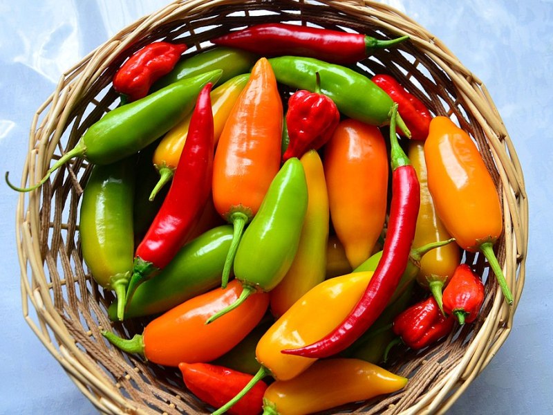 Feeling the burn: receptors, heat, and the mysteries of spicy&nbsp;food